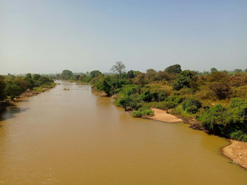 Découverte du Fleuve Bandama : Un Joyau Naturel de Côte d'Ivoire