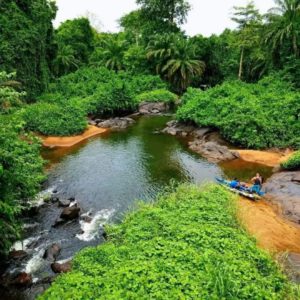 Découverte du Fleuve Bandama : Un Joyau Naturel de Côte d'Ivoire