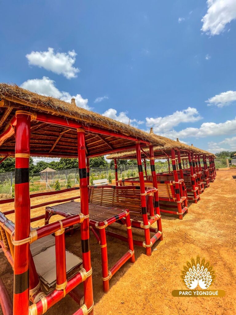 À la Découverte du Parc Yégnigué de Korhogo : Une Oasis de Détente et d’Épanouissement pour Toute la Famille