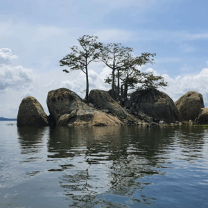 Activités à faire en Côte d’Ivoire : Guide rapide pour explorer le pays 🇨🇮