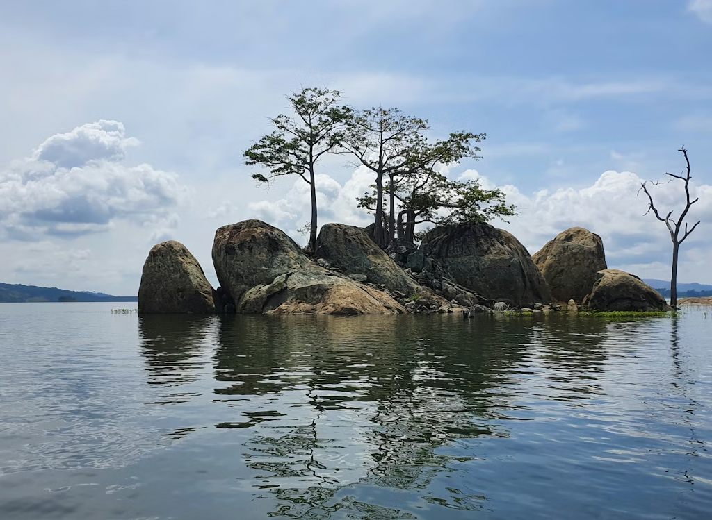Quand Partir en Côte d'Ivoire ? Le Guide Honnête pour Bien Choisir sa Période